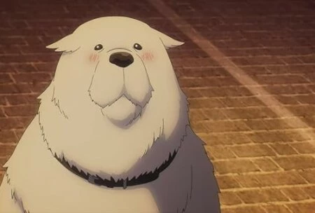 Превью аниме Семья шпиона с 2025 года